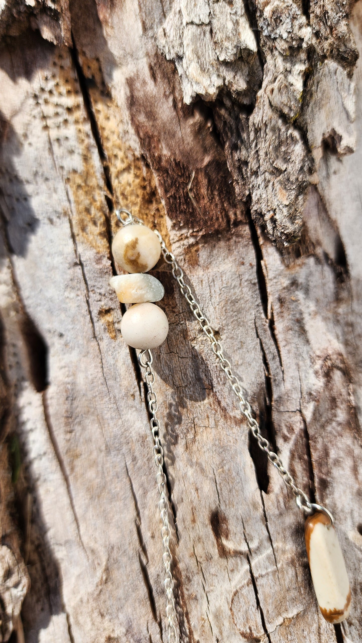 Petrified Wood Pendulum